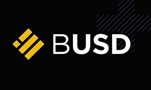 BUSD THE BEST STABLE COIN IN THE CRYPTO MARKET