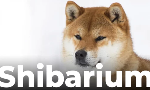 SHIBA INU SET TO LAUNCH THE SHIBARIUM BLOCKCHAIN HAVING PASSED PRIVATE TESTNET