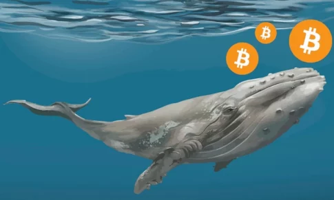 RICHEST BTC WHALE MAKES NOTABLE PURCHASES