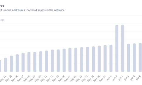 MEME COIN SHIBA INU SLUMPS AS IT LOSES OVER 20,000 HOLDERS IN A WEEK