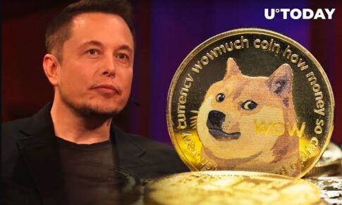 ELON MUSK BELIEVES DOGECOIN IS BETTER THAN BITCOIN AT PROCESSING TRANSACTIONS