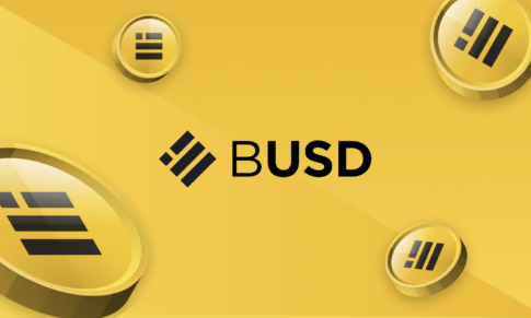 BINANCE FUD SPREADS AS NEW YORK REGULATOR REPORTEDLY STOPS PAXOS FROM ISSUING BUSD